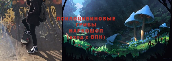 ГАЛЛЮЦИНОГЕННЫЕ ГРИБЫ Алзамай