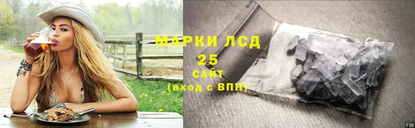 ГАЛЛЮЦИНОГЕННЫЕ ГРИБЫ Алзамай