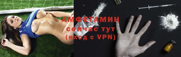 дмт Алексин