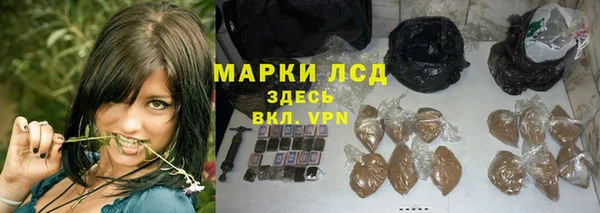 ГАЛЛЮЦИНОГЕННЫЕ ГРИБЫ Алзамай