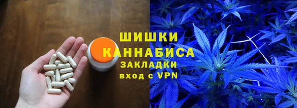 ГАЛЛЮЦИНОГЕННЫЕ ГРИБЫ Алзамай